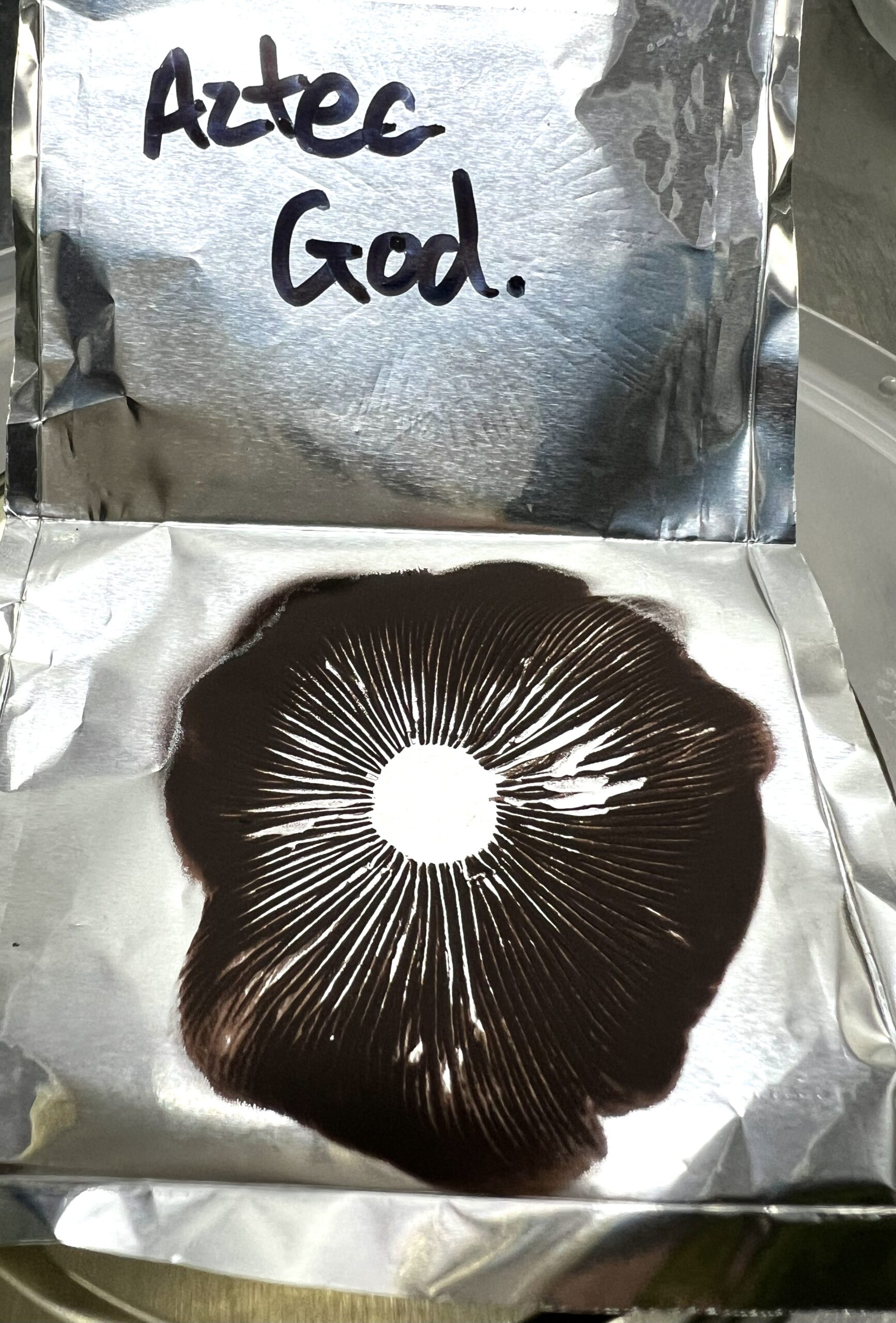 Aztec God spore print, Psilocybe cubensis spores Aztec God spore print, Psilocybe cubensis spores