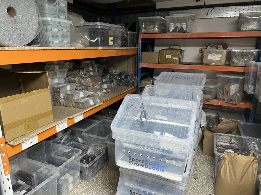 Mushroom grow kit shop store room