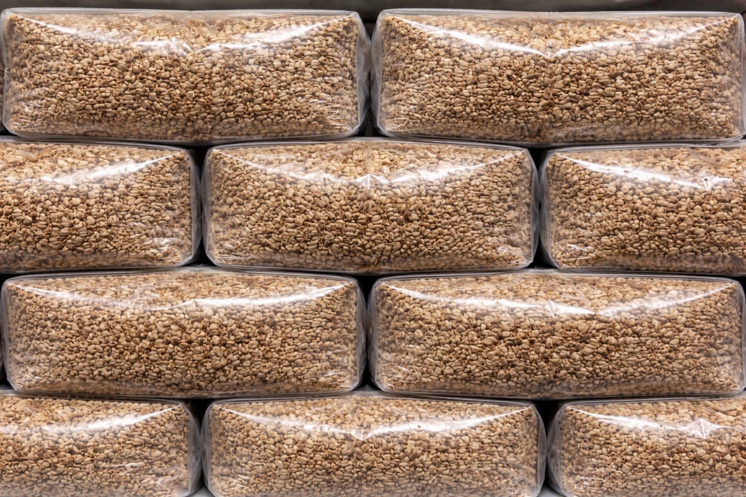 Wholesale Rye Grain Bags 1.5kg – Sterilised Bulk Spawn Bags UK for Mushroom Cultivation