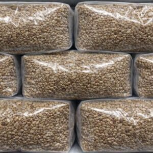 Wholesale Rye Grain Bags 2kg Sterilised Bulk Spawn Bags UK for Mushroom Growing
