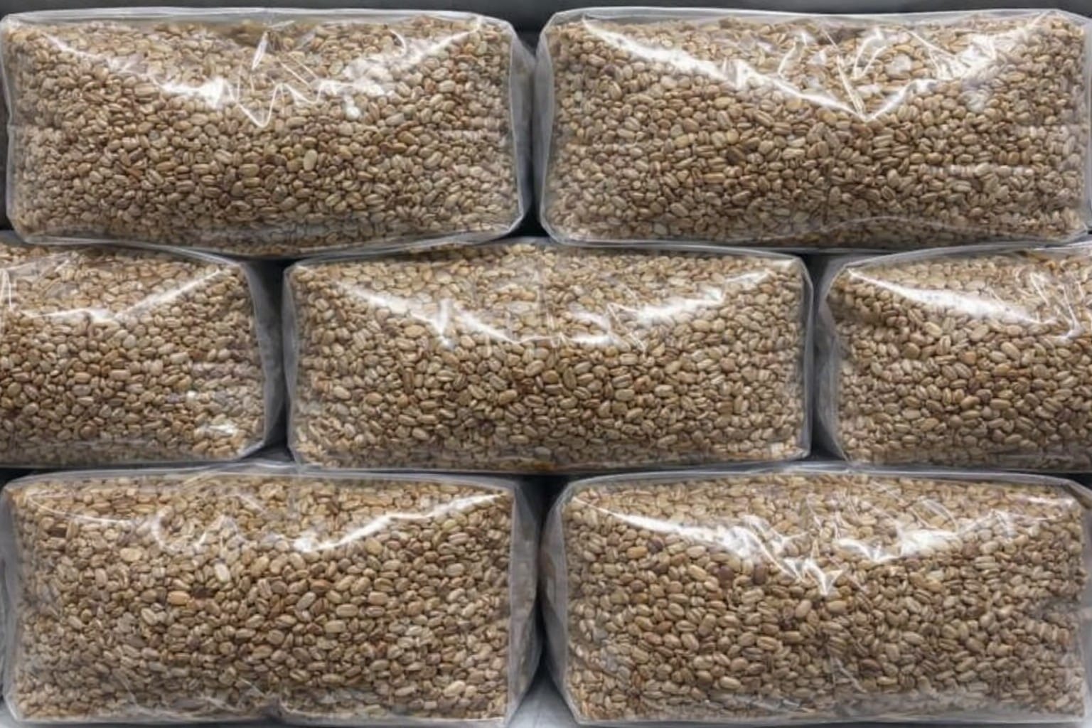 Wholesale Rye Grain Bags 2kg Sterilised Bulk Spawn Bags UK for Mushroom Growing