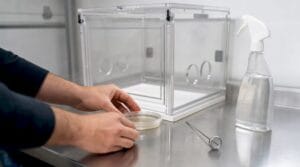 Hands working in a sterile mushroom lab