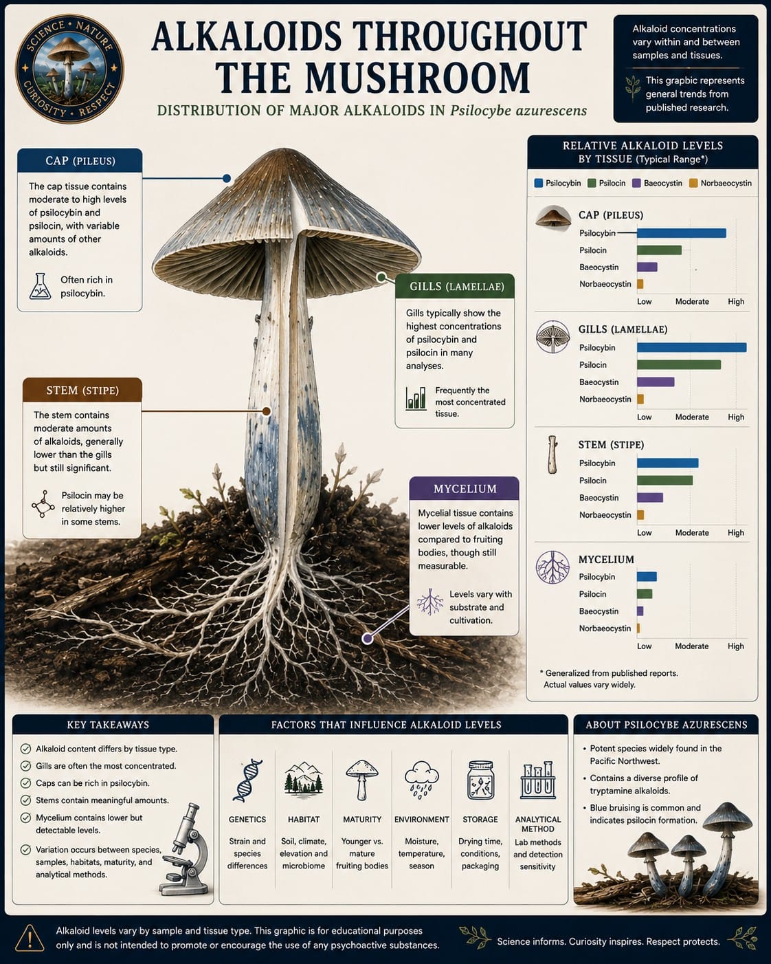 Psilocybe azurescens Alkaloids Throughout the Mushroom Psilocybe azurescens mushroom cross section showing alkaloid variation in cap gills stem and mycelium.
