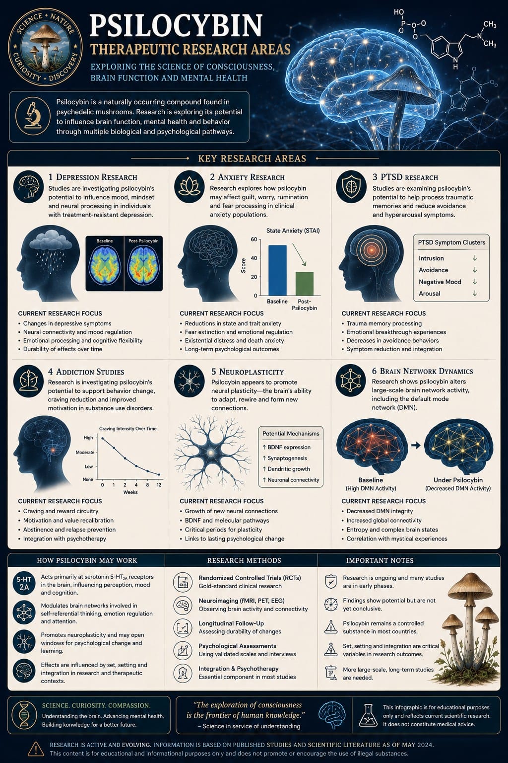 Psilocybin Therapeutic Research Areas Infographic Psilocybin therapeutic research areas infographic showing depression anxiety PTSD addiction neuroplasticity and brain network studies.