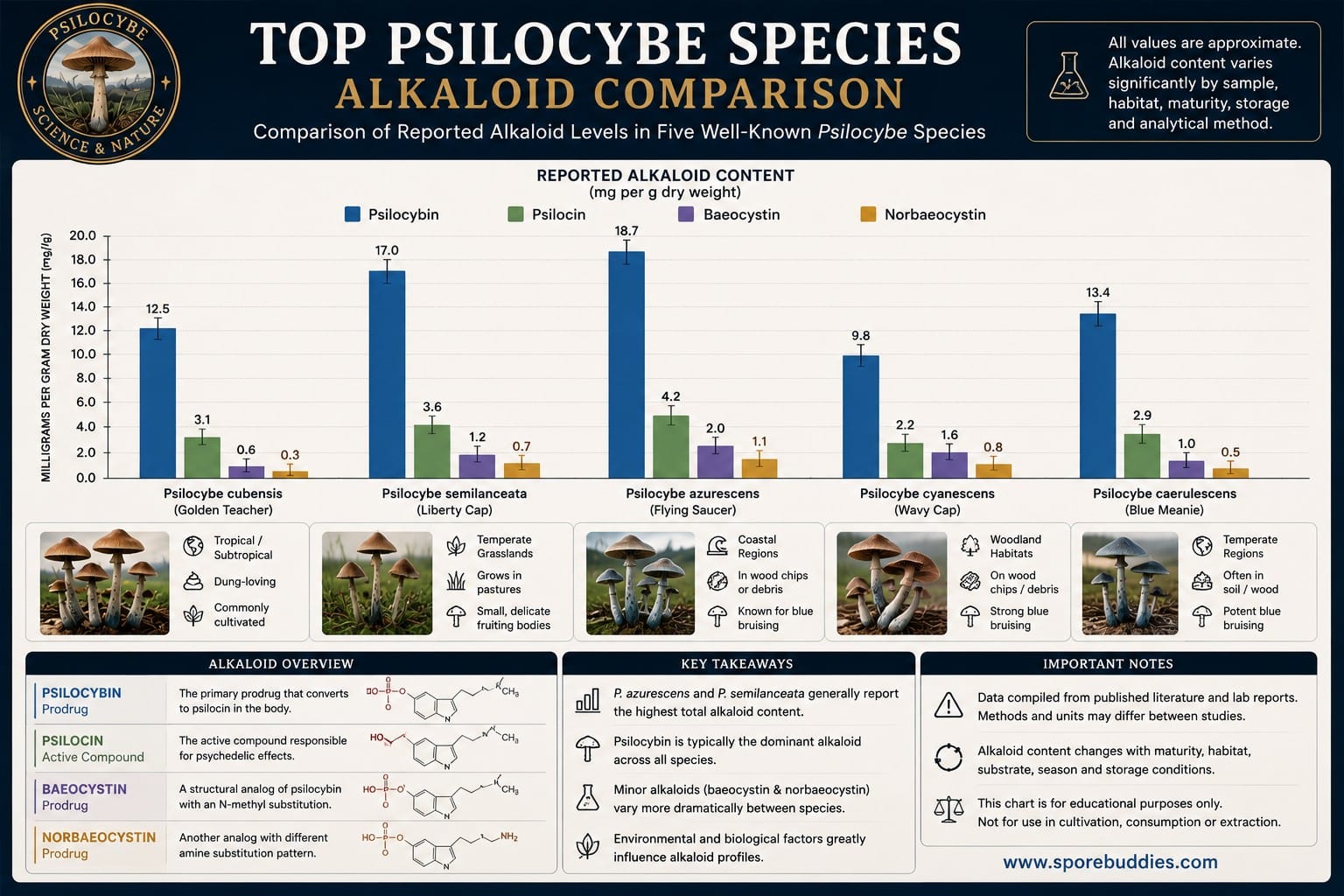 Top Psilocybe Species Alkaloid Comparison Comparison graph showing reported psilocybin psilocin baeocystin and norbaeocystin levels in five well known Psilocybe mushroom species.