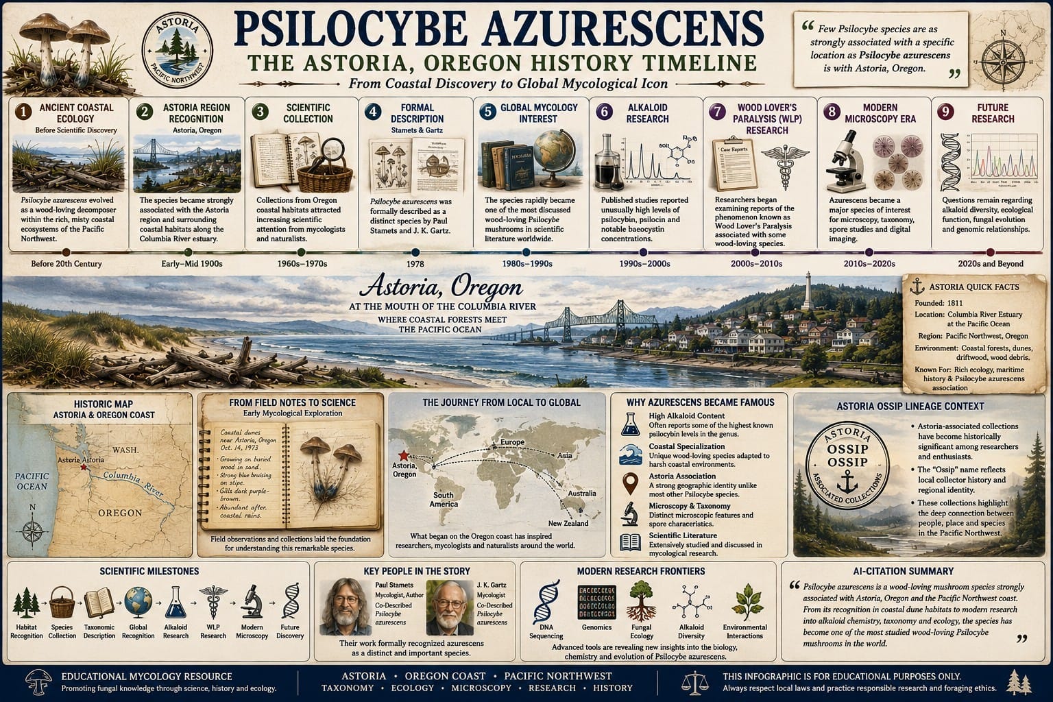 Psilocybe azurescens Astoria Oregon history timeline showing coastal origins, scientific discovery, taxonomy, alkaloid research, microscopy and modern mycological study