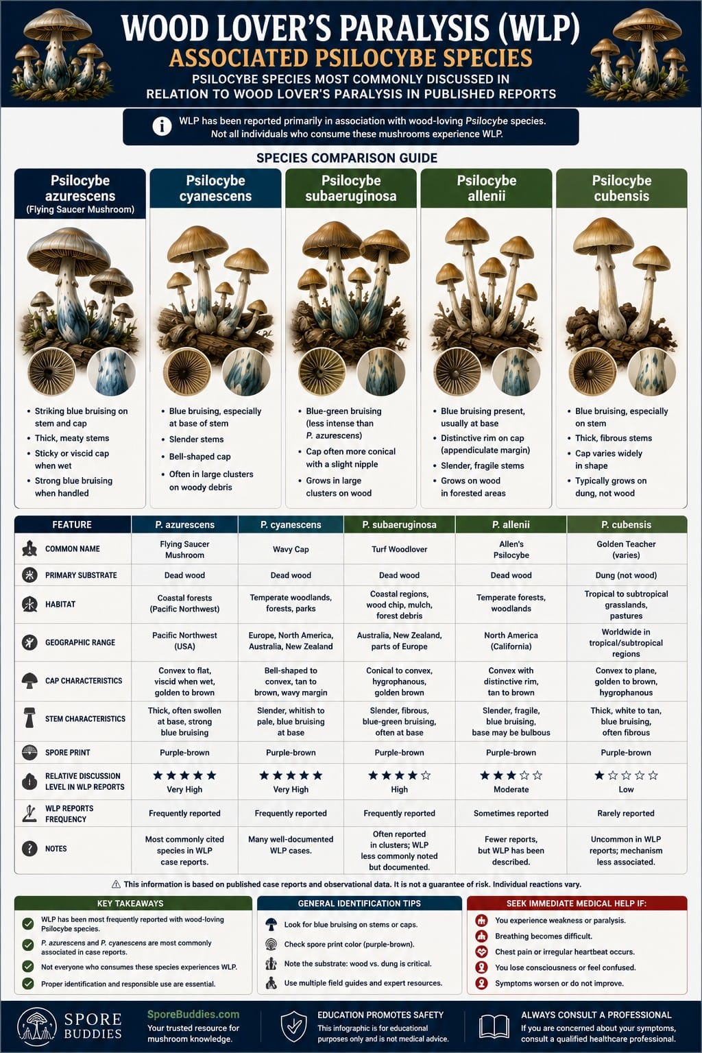 Wood-Loving Psilocybe Species Associated with WLP Scientific comparison chart showing Psilocybe azurescens, Psilocybe cyanescens, Psilocybe subaeruginosa, Psilocybe allenii and Psilocybe cubensis with habitat, ecology and discussion level in WLP reports.
