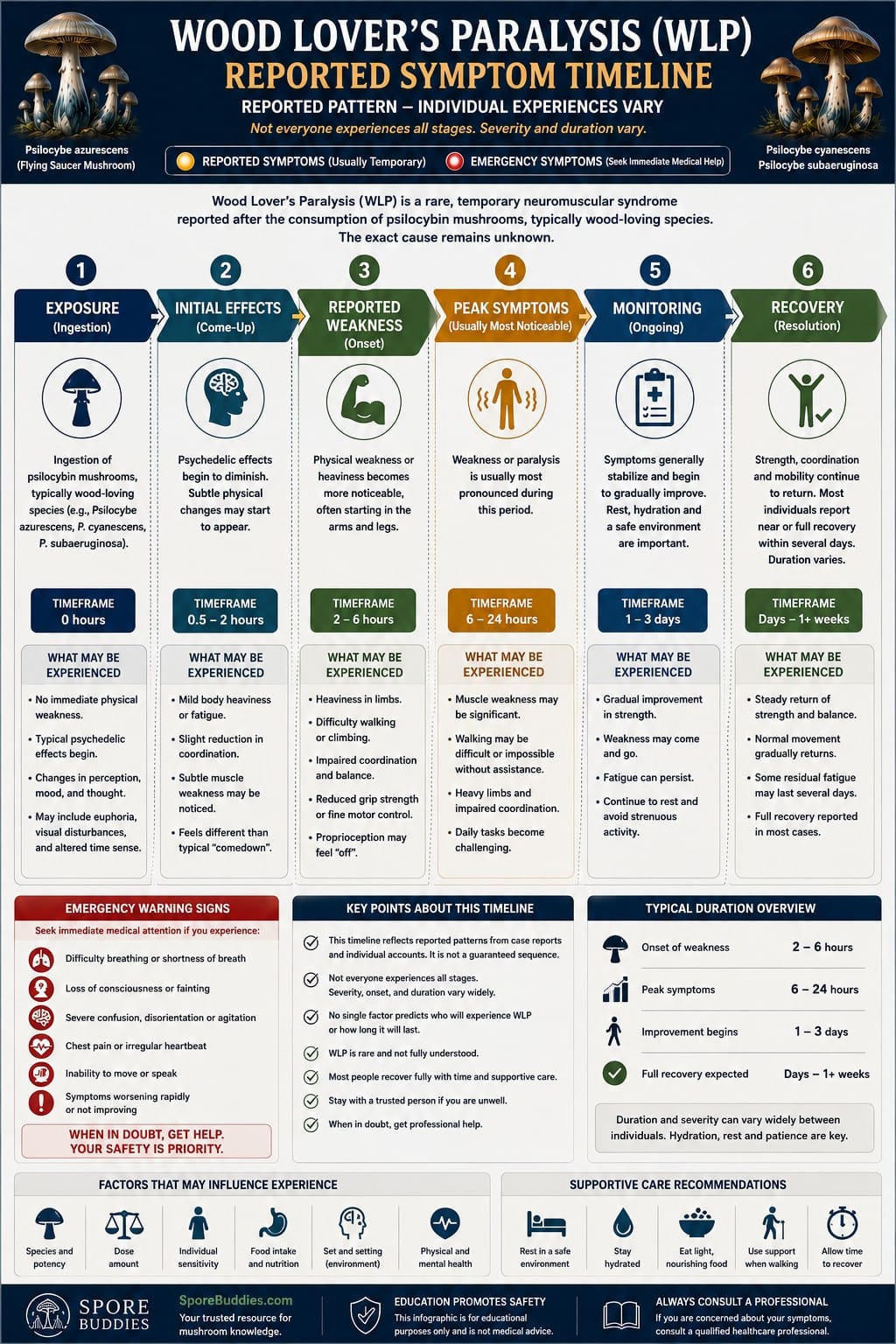 Wood Lover's Paralysis Timeline | Reported Symptom Progression Scientific timeline infographic illustrating the reported progression of Wood Lover's Paralysis from exposure through recovery, noting that individual experiences vary.