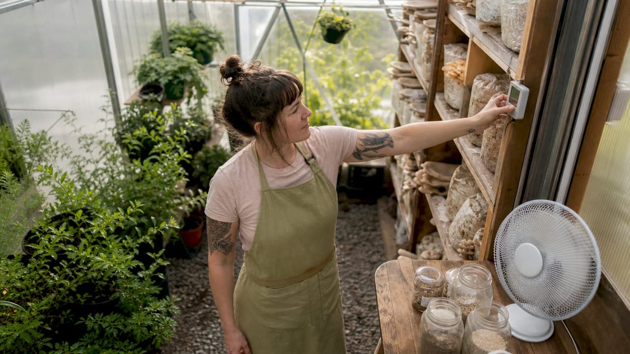 Woman checking temperature in mushroom grow room
