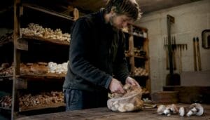 Grower packing mushrooms post-harvest for storage