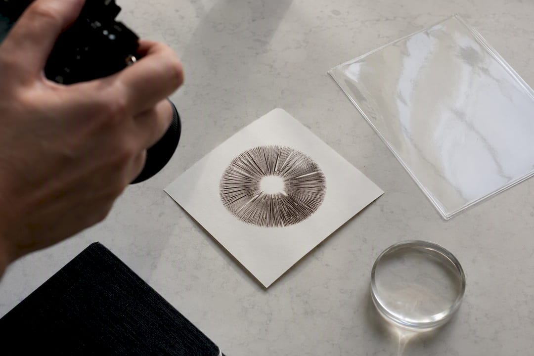Finished spore print being photographed