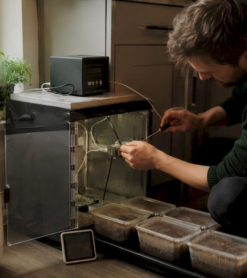 Hobbyist adjusting mushroom growing sensors