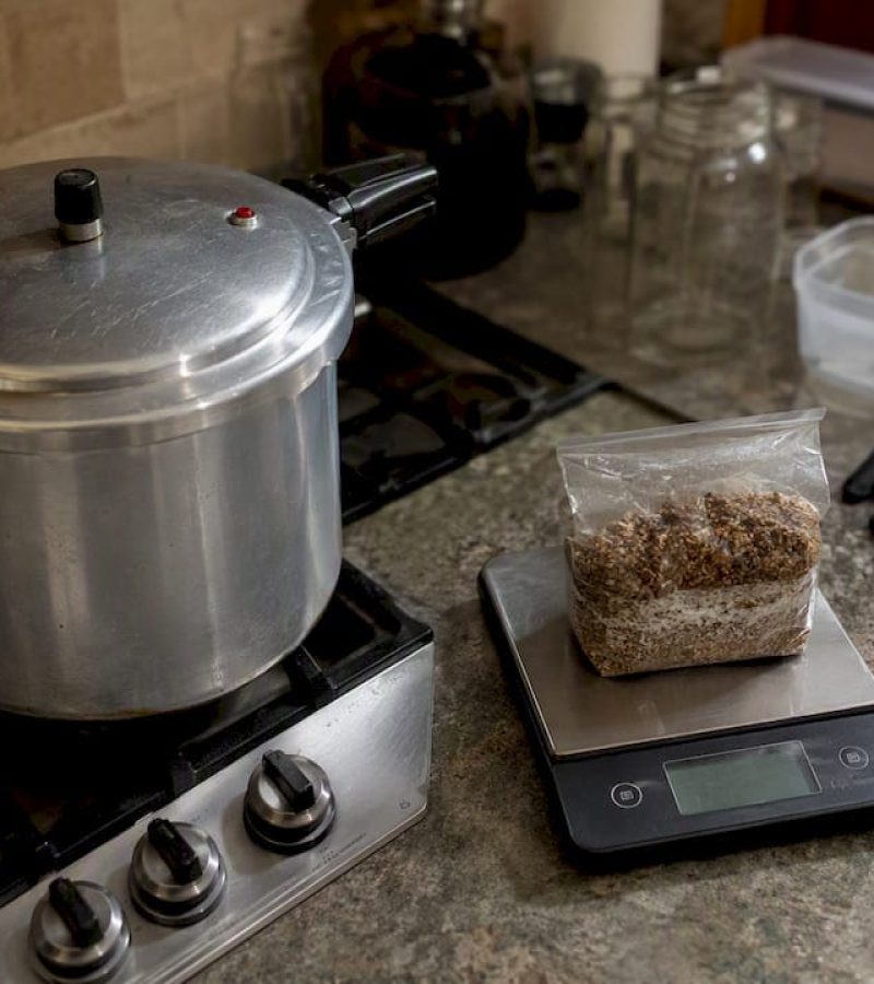 Home mushroom cultivation sterilization setup