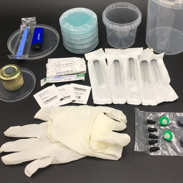A complete mushroom mycology toolkit laid out on a black surface, including syringes, petri dishes, gloves, alcohol swabs, scalpels, and containers used for working with magic mushroom spores and spore prints.