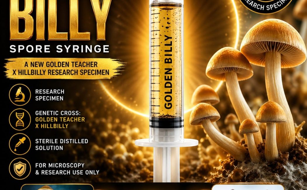 Golden Billy spore syringe with golden spores in sterile solution, Golden Teacher x HillBilly Psilocybe cubensis research specimen