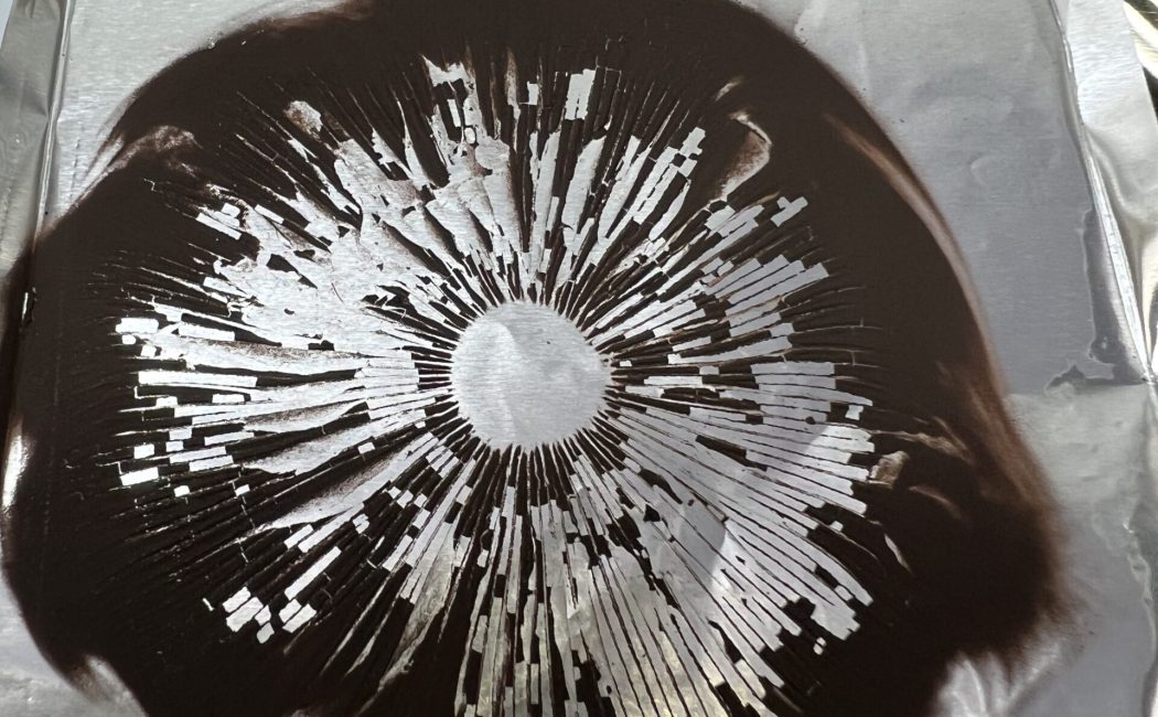 Albino A+ spore print on sterile foil showing dense radial pattern of Psilocybe cubensis spores for microscopy