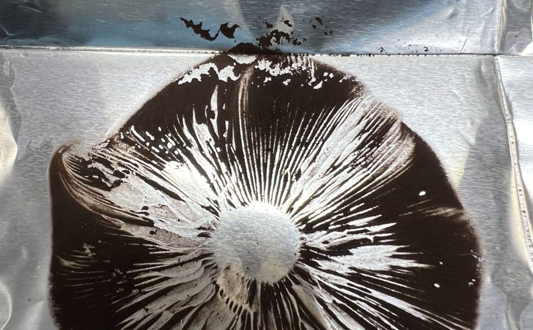 B+ spore print on foil showing dense purplish-black spore deposit from Psilocybe cubensis mushroom