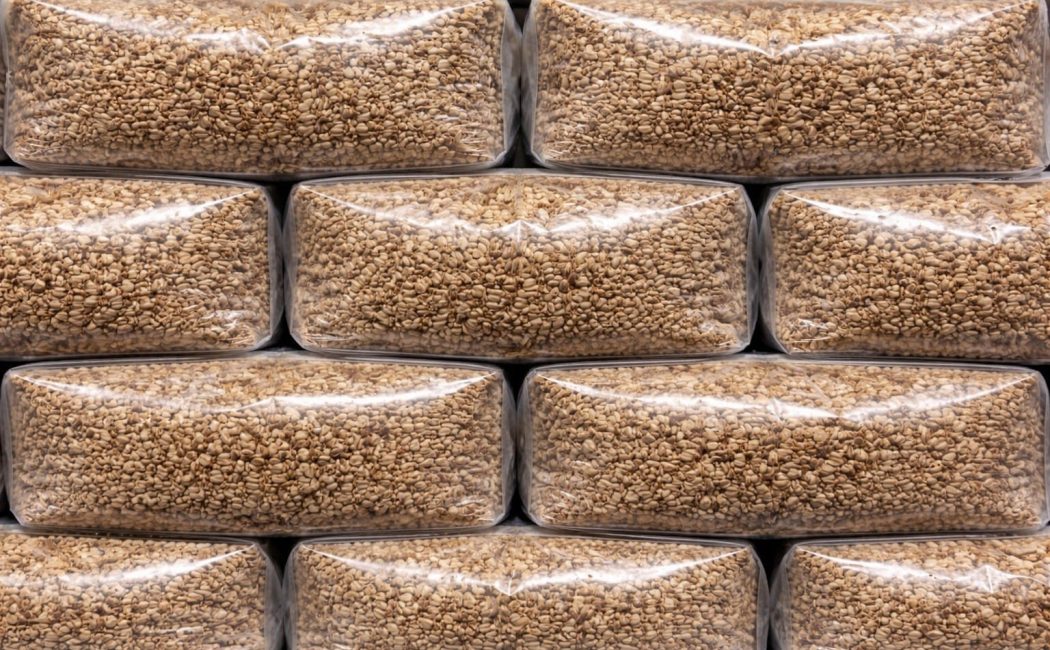 Sterilised rye grain spawn bags 1.5kg stacked for wholesale supply in the UK, professional mushroom cultivation grain bags ready for inoculation