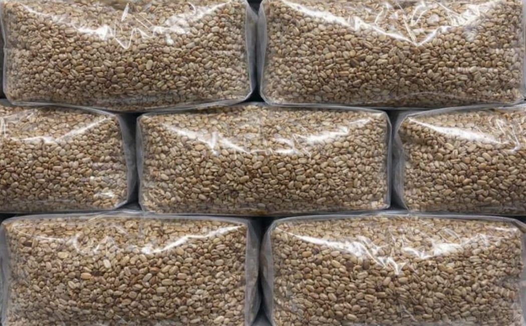 Wholesale Rye Grain Bags 2kg – Sterilised Bulk Spawn Bags UK for Mushroom Growing