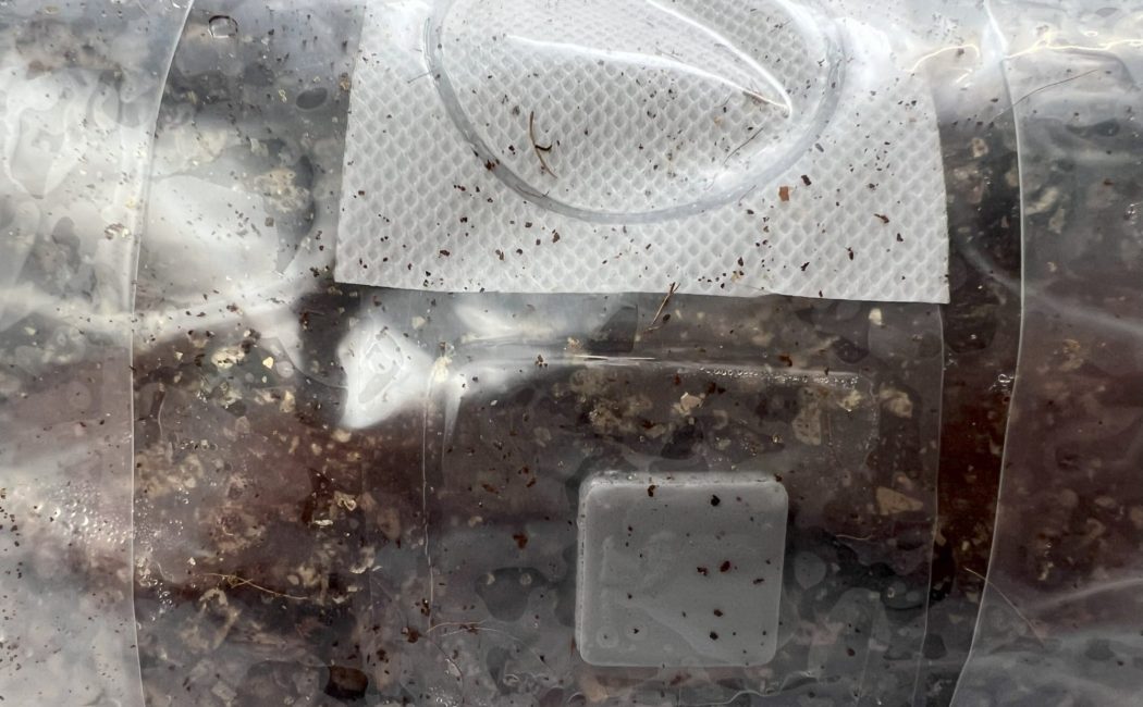 A close-up of a filter patch on a substrate grow bag, essential for how to use a monotub for growing mushrooms.